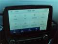 Ford Puma 1,0 EcoBoost Hybrid Titanium 8fach Bereift Gris - thumbnail 20