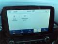 Ford Puma 1,0 EcoBoost Hybrid Titanium 8fach Bereift Gris - thumbnail 19