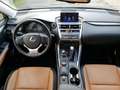 Lexus NX 300 Hybrid 4WD Icon - thumbnail 10