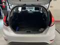 Ford Fiesta 1.5 TDCi 75CV 3 porte Van Entry Bianco - thumbnail 8