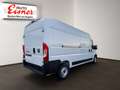 Fiat Ducato MAXI KW L3H2 3500 140 Tageszulassung - thumbnail 15