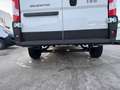Fiat Ducato MAXI KW L3H2 3500 140 Tageszulassung - thumbnail 14
