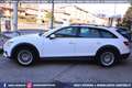 Audi A4 allroad 40 TDI quattro Stronic Business GANCIO TRAINO Bianco - thumbnail 7