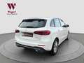 Mercedes-Benz B 220 B220 4Matic*LED*RCAM*AHK*NAVI*CARPLAY*MBUX* Weiß - thumbnail 10