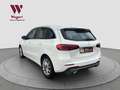 Mercedes-Benz B 220 B220 4Matic*LED*RCAM*AHK*NAVI*CARPLAY*MBUX* Weiß - thumbnail 13