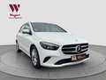 Mercedes-Benz B 220 B220 4Matic*LED*RCAM*AHK*NAVI*CARPLAY*MBUX* Weiß - thumbnail 4