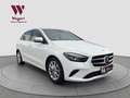 Mercedes-Benz B 220 B220 4Matic*LED*RCAM*AHK*NAVI*CARPLAY*MBUX* Weiß - thumbnail 5