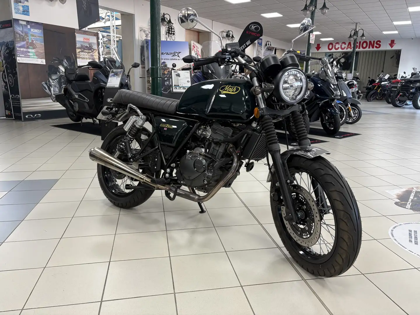 Mash Black Seven Grün - 1