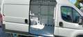 Fiat Ducato 35q 2.2 mjt 140cv PM-TM KM0 RETCAM+SOSP POST RINFO Bianco - thumbnail 10