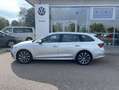 Skoda Octavia Combi 2.0 TDI Style AHK+18"+NAVI-COLUMBU Silber - thumbnail 2