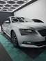 Skoda Superb 2,0 TDI Ambition DSG - thumbnail 2