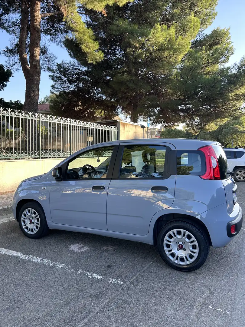 Fiat Panda 1.0 firefly hybrid s&s 70cv - 2