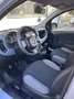 Fiat Panda 1.0 firefly hybrid s&s 70cv - thumbnail 5
