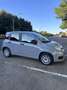 Fiat Panda 1.0 firefly hybrid s&s 70cv - thumbnail 3