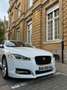 Jaguar XF 2.2 D - 200 Portfolio A Blanc - thumbnail 1