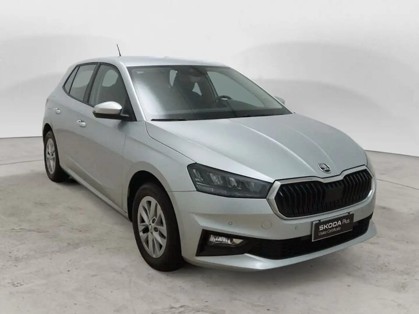 Skoda Fabia 1.0 MPI EVO 80 CV Selection Argento - 1