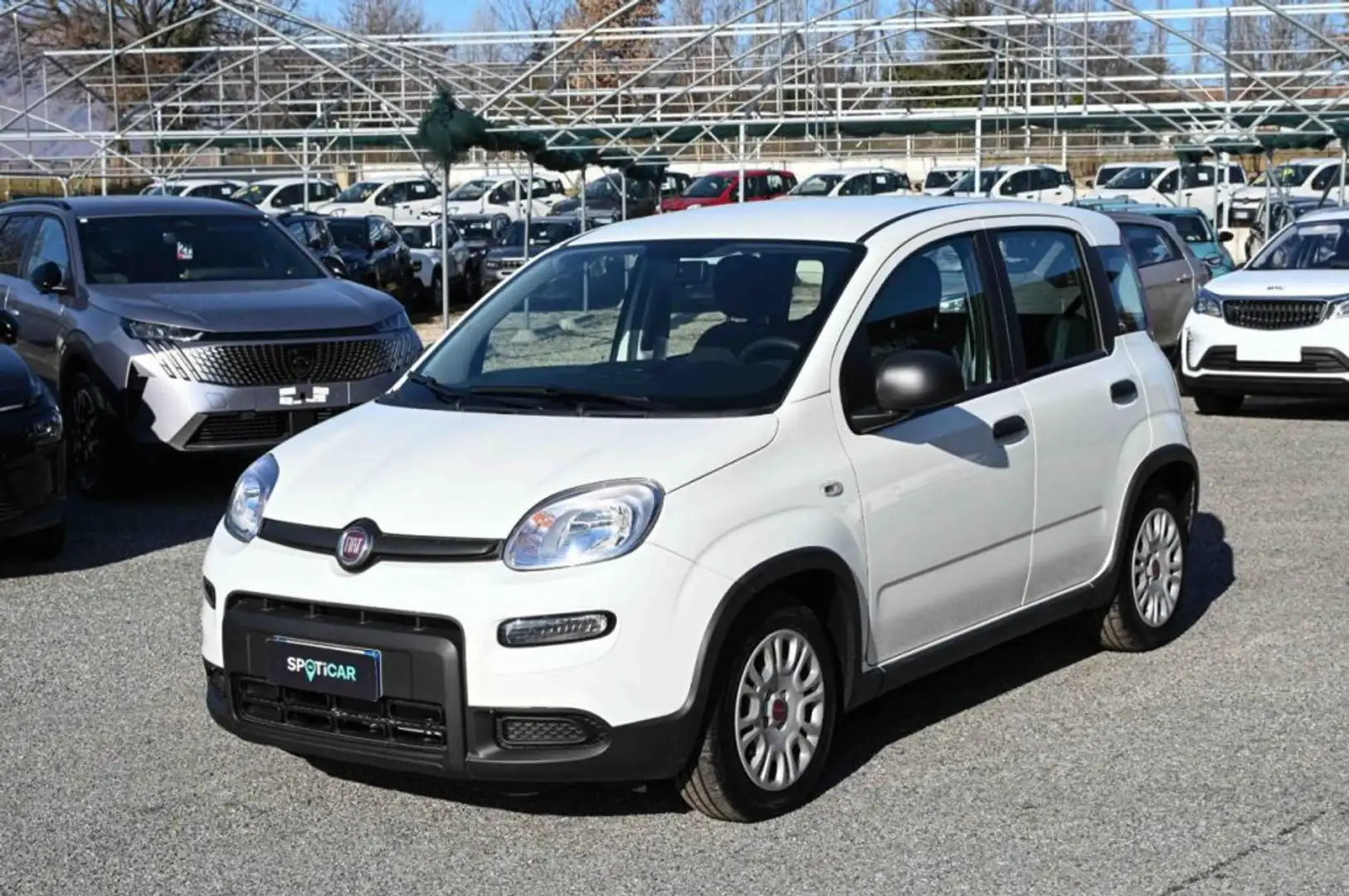 Fiat Panda Hybrid 1.0 70cv Bianco - 1