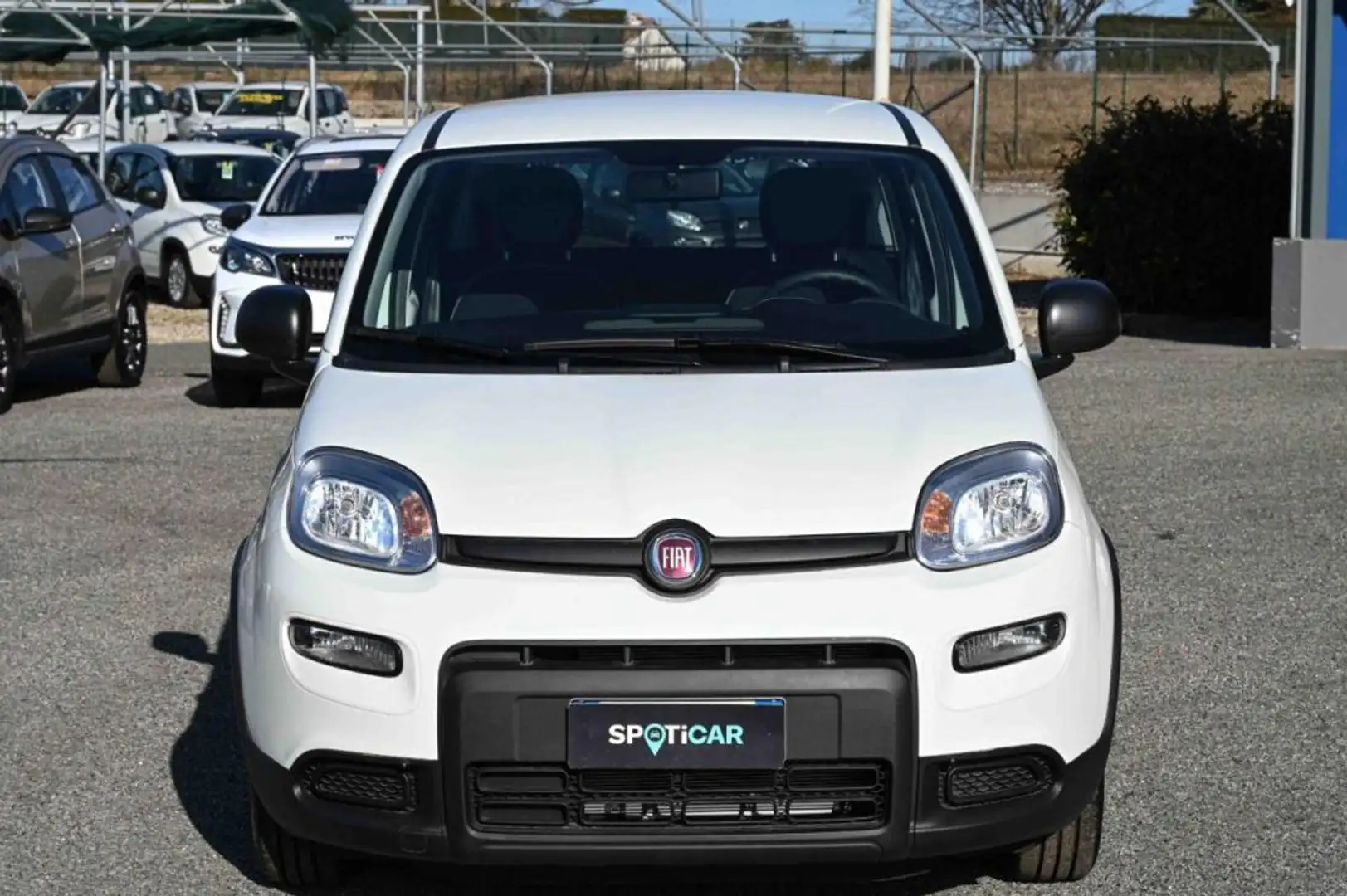 Fiat Panda Hybrid 1.0 70cv Bianco - 2