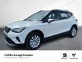 SEAT Arona Road Edition 1.0 TSI 85 kW (116 PS) 6-Gang Blanc - thumbnail 1