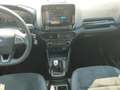 Ford EcoSport ST-Line 1.0 LED Dyn. Kurvenlicht Apple CarPlay And Schwarz - thumbnail 13