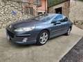 Peugeot 407 407 2004 Berlina 2.0 hdi 16v Executive fap Gri - thumbnail 1