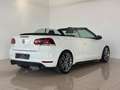 Volkswagen Golf VI Cabriolet GTI PDC SHZ RFK Service Neu Weiß - thumbnail 9