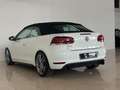 Volkswagen Golf VI Cabriolet GTI PDC SHZ RFK Service Neu Weiß - thumbnail 15