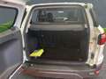Ford EcoSport Trend 1.5 Ti-VCT+Klimaanlage+Parksensoren+Tagfahrl Alb - thumbnail 5