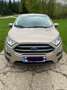 Ford EcoSport EcoSport 1,0 EcoBoost Trend Trend Gold - thumbnail 5