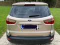 Ford EcoSport EcoSport 1,0 EcoBoost Trend Trend Gold - thumbnail 3