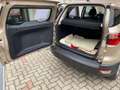 Ford EcoSport EcoSport 1,0 EcoBoost Trend Trend Gold - thumbnail 10