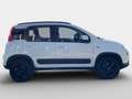 Fiat Panda TwinAir 85 4x4 Wild Weiß - thumbnail 3