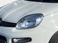 Fiat Panda TwinAir 85 4x4 Wild Weiß - thumbnail 7