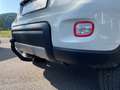 Fiat Panda TwinAir 85 4x4 Wild Weiß - thumbnail 12