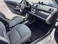 smart forTwo Micro Hybrid Drive  Kabrio Grau - thumbnail 11