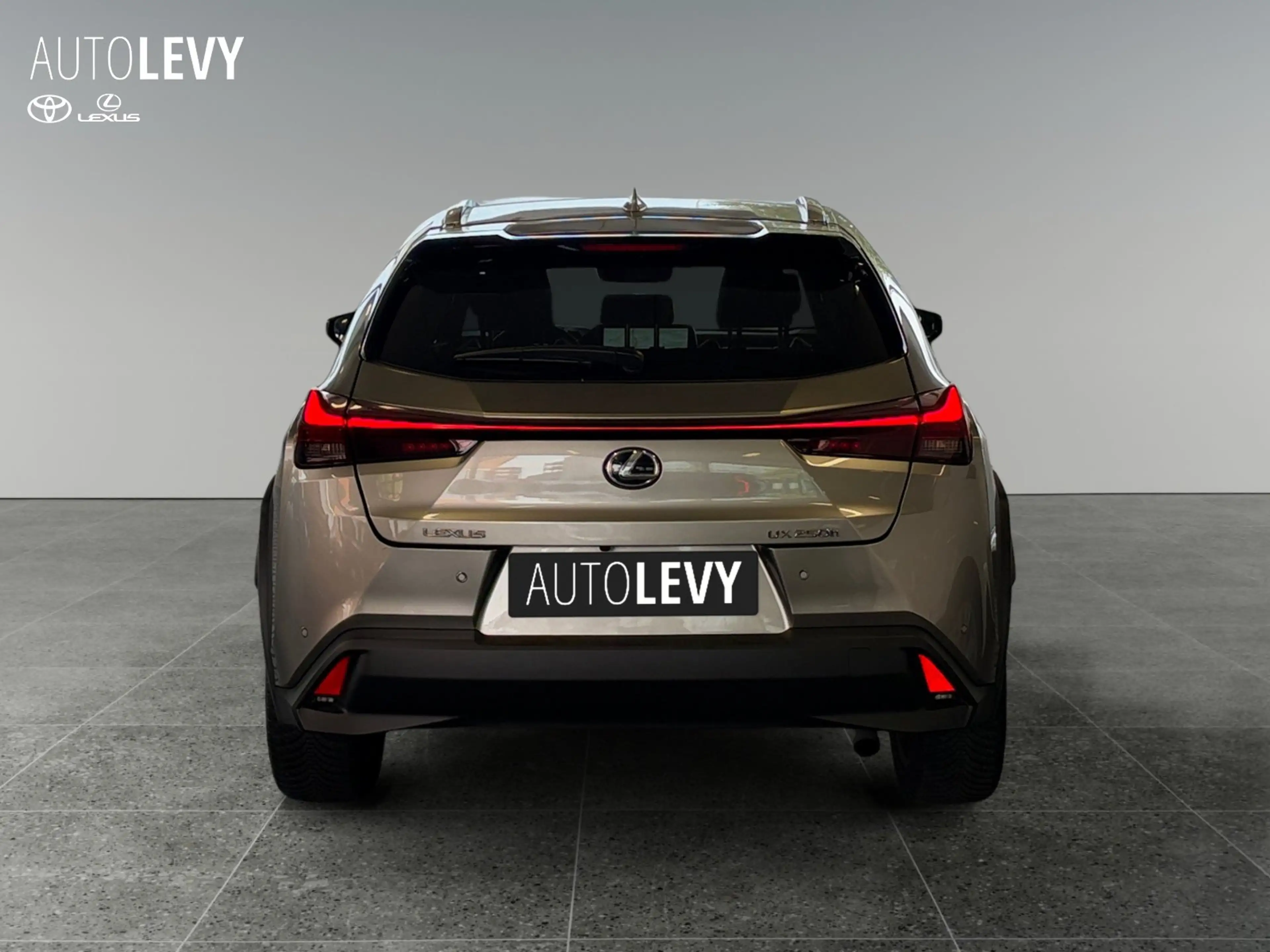 Lexus UX 250h Executive CARPLAY/NAVI — photo 5