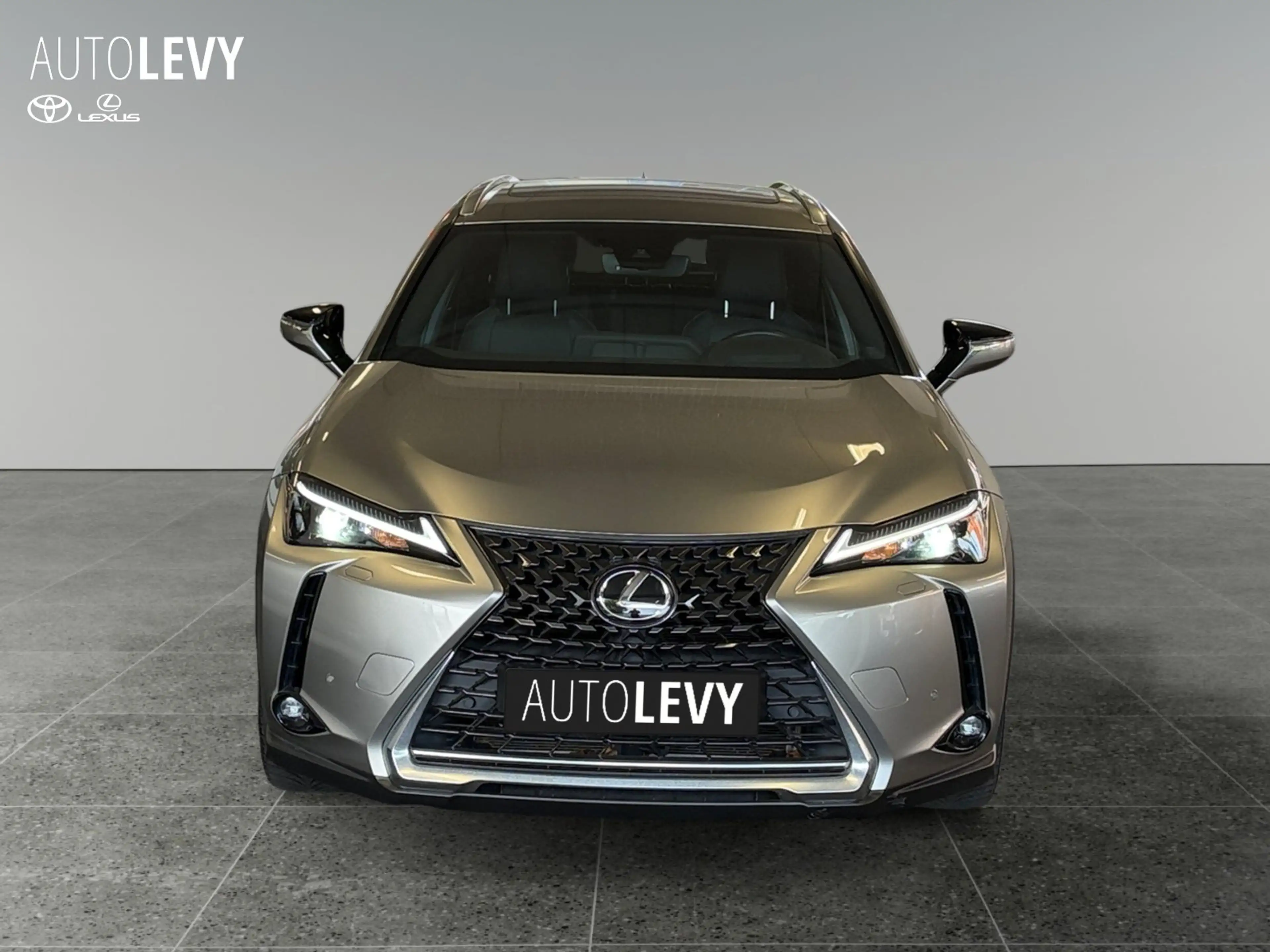Lexus UX 250h Executive CARPLAY/NAVI — photo 9