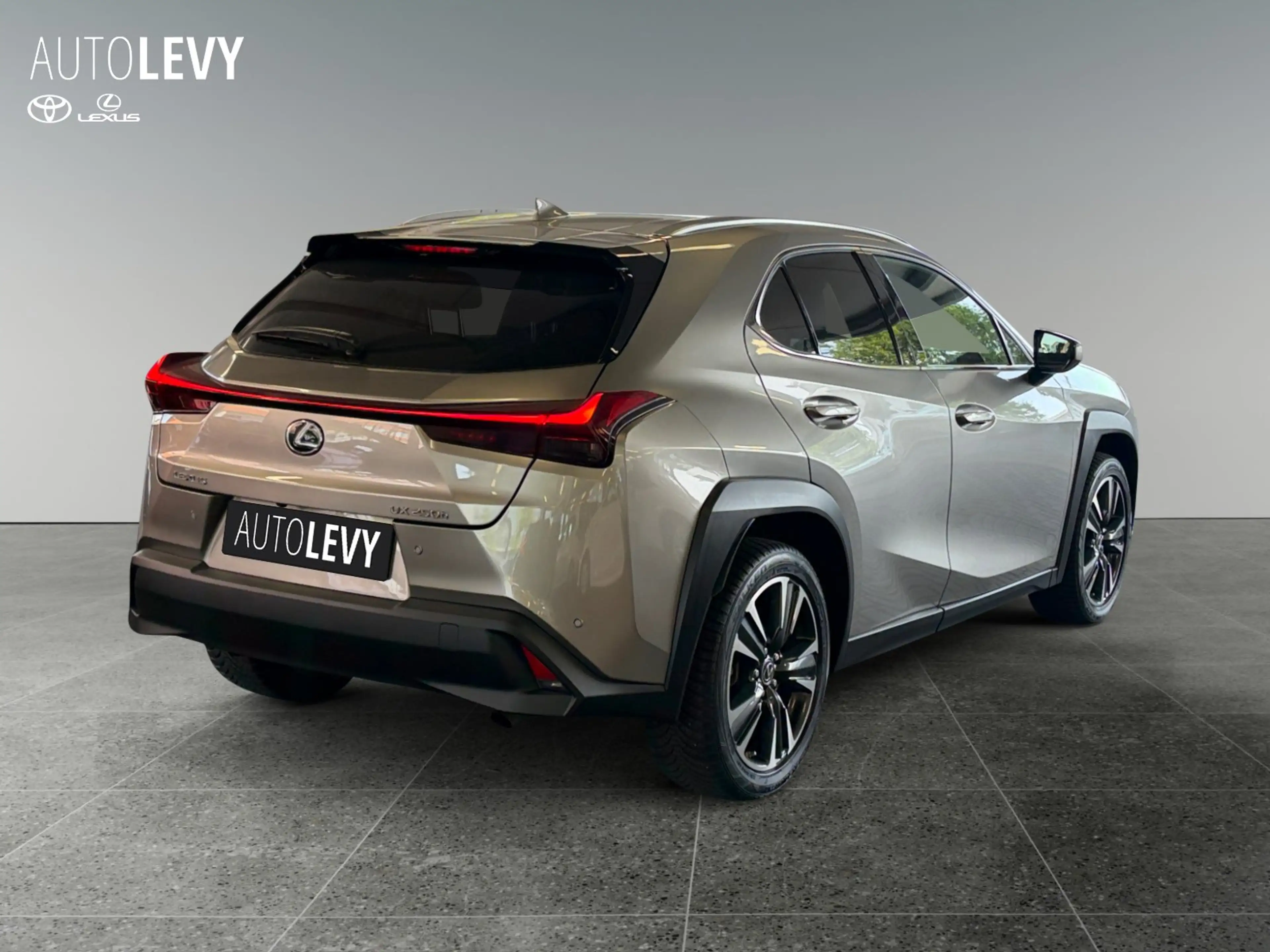 Lexus UX 250h Executive CARPLAY/NAVI — photo 6