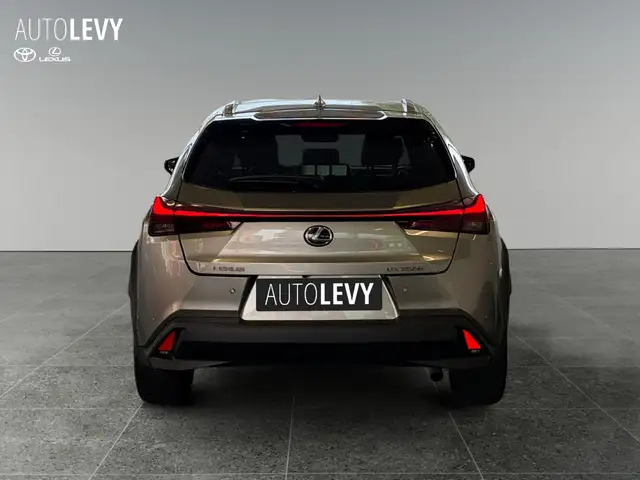 Lexus UX view 5
