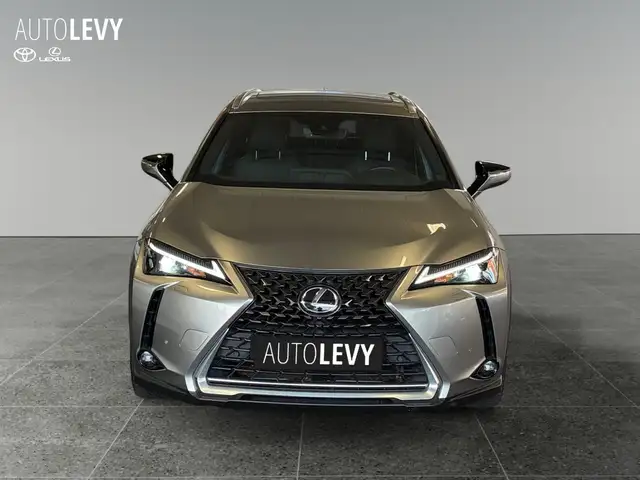 Lexus UX view 9