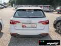 Audi A4 Avant 35 TDI S-tronic ACC+KAMERA+NAVI+ALU 17´ Weiß - thumbnail 12