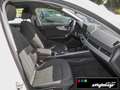 Audi A4 Avant 35 TDI S-tronic ACC+KAMERA+NAVI+ALU 17´ Weiß - thumbnail 5