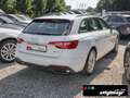 Audi A4 Avant 35 TDI S-tronic ACC+KAMERA+NAVI+ALU 17´ Weiß - thumbnail 3