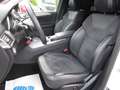 Mercedes-Benz ML 250 CDI BlueTec Weiß - thumbnail 7