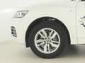 Audi Q5 35 TDI STR|MATRIX|GPS|SGS CH|KEYL|CAM|JA18 Blanc - thumbnail 29