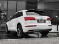 Audi Q5 3.0TDI quattro tiptronic (9.75) Bianco - thumbnail 8