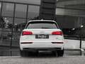 Audi Q5 3.0TDI quattro tiptronic (9.75) Bianco - thumbnail 4