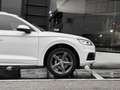 Audi Q5 3.0TDI quattro tiptronic (9.75) Bianco - thumbnail 6