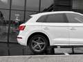 Audi Q5 3.0TDI quattro tiptronic (9.75) Bianco - thumbnail 7