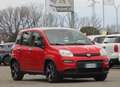 Fiat Panda 1.0 FireFly S&S Hybrid Sport Rojo - thumbnail 2